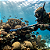 Arbalete Camuflada Sniper FH Pk Sub Divecom 16mm Pesca Caça Sub - Imagem 2