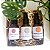 Kit 3 mini Perfumes de Ambientes - Imagem 1