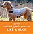 Roupa para cães Thundershirt - Casaco de ansiedade para cães Thundershirt, Platina, Grande - Imagem 3