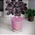 Vela de cera de abelha com aroma de lavanda baunilha Root Candles 8870246 Honeycomb Veriglass, grande - Imagem 5