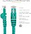 Cabo Ethernet CAT6 de 100 pés da StarTech.com - Cabo Ethernet Gigabit CAT 6 Verde - 650MHz 100W PoE++ RJ45 UTP Categoria 6 Rede/Cabo de Conexão sem Engate com Alívio de Tensão Test - Imagem 2