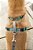 Peitoral para Cachorro 3 em 1 sem Puxar PetSafe - Passeio, Treino ou Viagem - Ajuda a Evitar que os Animais Puxem durante os Passeios - Argola para Cinto de Segurança Também Serve como Al - Imagem 5