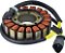 Bobina do estator marinho 340-22037, compatível com/substituição para Sea-Doo Challenger 2005 2006, Speedster 2004-2006, Sportster 2003-2006, Utopia 2006 290-889- - Imagem 1