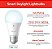Lâmpada Inteligente Sengled Alexa, Emparelhamento Automático com Dispositivos Alexa, Lâmpadas Inteligentes que Funcionam com Alexa, Iluminação Inteligente Bluetooth Mesh para Casa Inteligente, Luz do Dia 5000K - Imagem 2