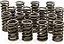 Molas de válvula Isky Racing Cams 235-D - Imagem 2