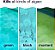 Cuidado com a piscina HTH 67084 Algae Guard Advanced, produto químico para piscina, de ação rápida, 32 fl oz. - Imagem 3