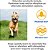 Coleira de treinamento humano Educator E-Collar para cães com controle remoto, 100 níveis seguros de estimulação por toque, luz noturna, à prova d'água, recarregável, 1 milha para 1 cão - Imagem 3