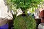 SuperMoss (29348) Kokedama Planter, 6, Verde Fresco - Imagem 4