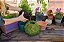 SuperMoss (29348) Kokedama Planter, 6, Verde Fresco - Imagem 2