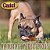 Bastões de Bully X-Small para Cachorros - Mastigadores para Cachorros Pequenos - Petiscos para Cachorros Mastigadores Agressivos, X-Small (8 oz.) - Imagem 3