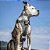 Peitoral para Cachorro com Liberação Rápida Kurgo Tru-Fit - Peitoral Durável para Uso Diário - Caminhada, Corrida, Corrida - Fivelas de Liberação Rápida Refletivas - Incl - Imagem 4