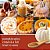 Vela Yankee Candle com aroma de abóbora temperada, frasco grande de 20oz com 2 pavios, mais de 60 horas de queima. - Imagem 3