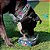 Coleira para cães Cycle Dog RCM-CFB-M, média, Camp Fire Blanket - Imagem 5