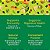 Mix de Smoothie em Pó de Super Alimentos: Super Mistura de Verdes em Pó para Impulsionar Energia, com Spirulina Orgânica, Clorela, Pó de Beterraba, Enzimas Digestivas e Probióticos, Original, - Imagem 5