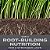 Scotts Turf Builder Semente de Grama Mistura do Noroeste do Pacífico com Fertilizante e Melhorador de Solo, Mix Premium, 2,4 lbs. - Imagem 3