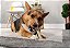 Buffalo Tails Outback Jack Treats para Cachorros 100% naturais, 6 polegadas, saco de 16 onças. - Imagem 2
