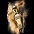 Xerjoff Luxor Perfume, 50ml - Imagem 5