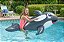 Flutuador de Piscina Inflável Poolmaster Baleia Gigante Cinza Grande - Imagem 3