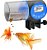 Alimentador Automático de Peixes com Carregamento USB Noodoky, Dispensador Automático de Comida para Peixes com Temporizador para Aquário ou Tanque de Tartarugas, Alimentação Automática em Férias ou Feriados, Pre - Imagem 1