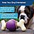 Osso Saltitante Busy Buddy da PetSafe - Brinquedos que seguram petiscos para cães - Perfumado para Estimulação Sensorial Acentuada - Ingredientes Testados Rigorosamente - Para Cães que Mastigam Agressivamente - Imagem 2