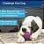Osso Saltitante Busy Buddy da PetSafe - Brinquedos que seguram petiscos para cães - Perfumado para Estimulação Sensorial Acentuada - Ingredientes Testados Rigorosamente - Para Cães que Mastigam Agressivamente - Imagem 4