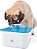 Fonte de água para animais de estimação, Fonte de água para cães e gatos 84oz/2.5L, Dispensador automático de água para animais de estimação ultra silencioso, Dispensador de tig - Imagem 1