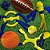 Brinquedo para Busca e Recolha Nylabone Power Play para Cães Fling-a-Bounce Grande (1 Unidade) - Imagem 5