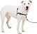 Peitoral para cães PetSafe® Deluxe Easy Walk®, Peitoral Anti-Puxão, Pare de Puxar, Ótimo para Passear e Treinar, Acolchoamento Confortável, para Cães Médios - Aço/Preto - Imagem 1