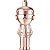 Perfume Karl Lagerfeld Karl Ikonik EDP - Feminino 100mL - Imagem 3