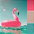Kit Laços Flamingo + caixa de presente - Imagem 5