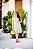 Vestido Dazul floral - Imagem 7