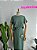Conjunto  Bruna - Imagem 2