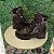 Bota Mississipi Cafe ME682 - Imagem 1