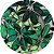 Tecido Estampado Para Sousplat 3 Unidades Plantas - Imagem 2