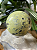 Esfera de Serpentinita com Pirita - Cristal de Autoconfiança e Força de Vontade - Imagem 1