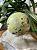 Esfera de Serpentinita com Pirita - Cristal de Autoconfiança e Força de Vontade - Imagem 2