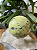 Esfera de Serpentinita com Pirita - Cristal de Autoconfiança e Força de Vontade - Imagem 3