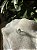 Anel Ajustável Tara Verde | Cristal de Sabedoria e Libertação - Prata 925 - Turmalina Verde, Peridoto, Ametista e Água Marinha - Imagem 5