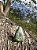 Anel Ajustável Rubi na Fuchsita | Cristal de Coragem e Boa Sorte - Prata 925 - Imagem 1