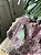 Colar Opala Andina | Cristal de Consciência Cósmica - Imagem 1