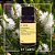 Óleo Essencial | Tea Tree (Melaleuca) - By Samia 10 ml - Imagem 1