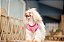Blusa Soft Xadrez Rosa - Imagem 3