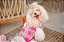 Blusa Soft Xadrez Rosa - Imagem 1