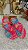 Chinelo Havainas Fantasy Style - Imagem 3