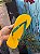 Chinelo Ipanema Feminino Verde/Amarelo - Imagem 2