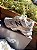 Tênis New Balance Sneaker Branco/Cinza - Imagem 3