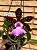 Cattleya Aclandiae Nigrescens - EXEMPLAR UNICO REF-MTSACL58 - Imagem 3
