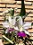 Cattleya Walkeriana Semi Alba Flamea Tokutsu - Exemplar Único ref 1056 - Imagem 1