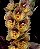 Catasetum Orchidglade 'Davie Ranches’ - Adulto - Imagem 2