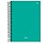 Caderno Universitário 10 Matérias 160 Folhas 20x27,5cm - Stiff - Imagem 5